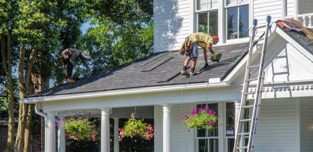 Best Gutter Installation and Repair  in Coleman, MI